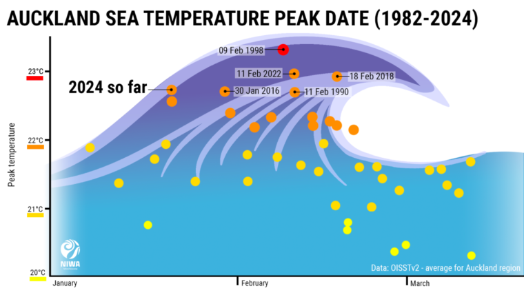 Warm oceans behind our hot, humid weather