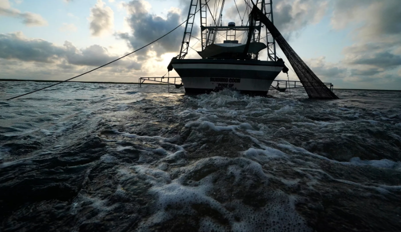 Scientists reveal how trawling the bottom of the ocean could release millions of tonnes of CO2