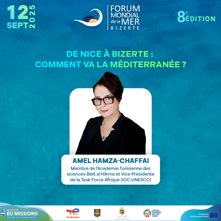 Amel Hamza-Chaffai