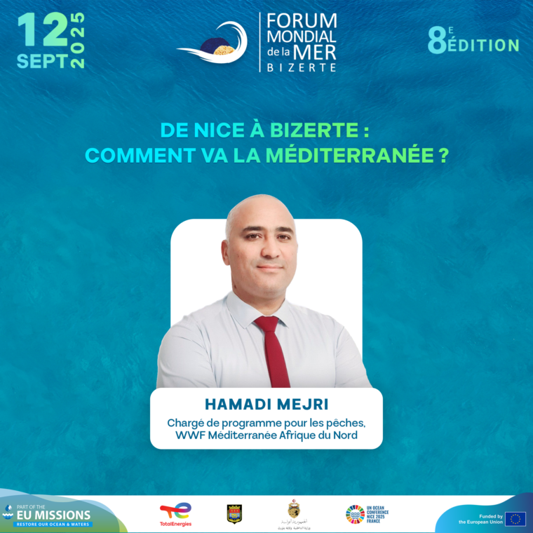 Hamadi Mejri