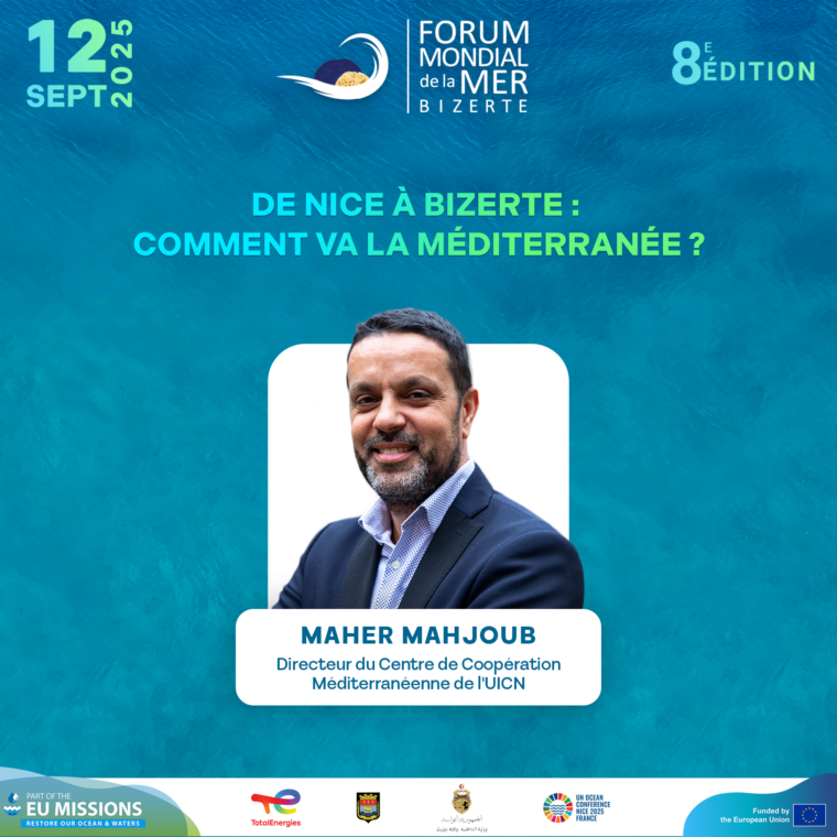 Maher Mahjoub