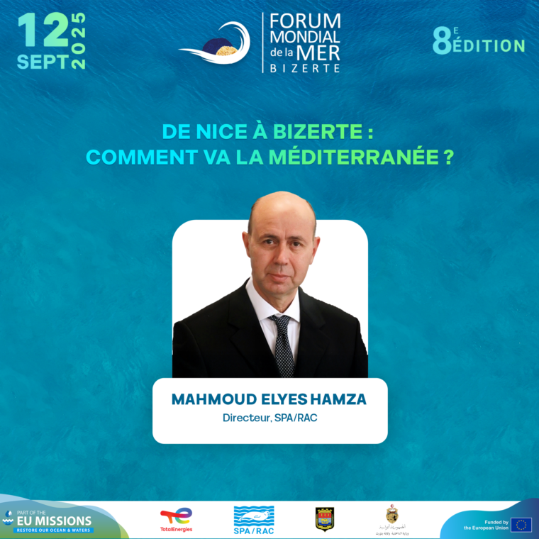 Mahmoud Elyes Hamza