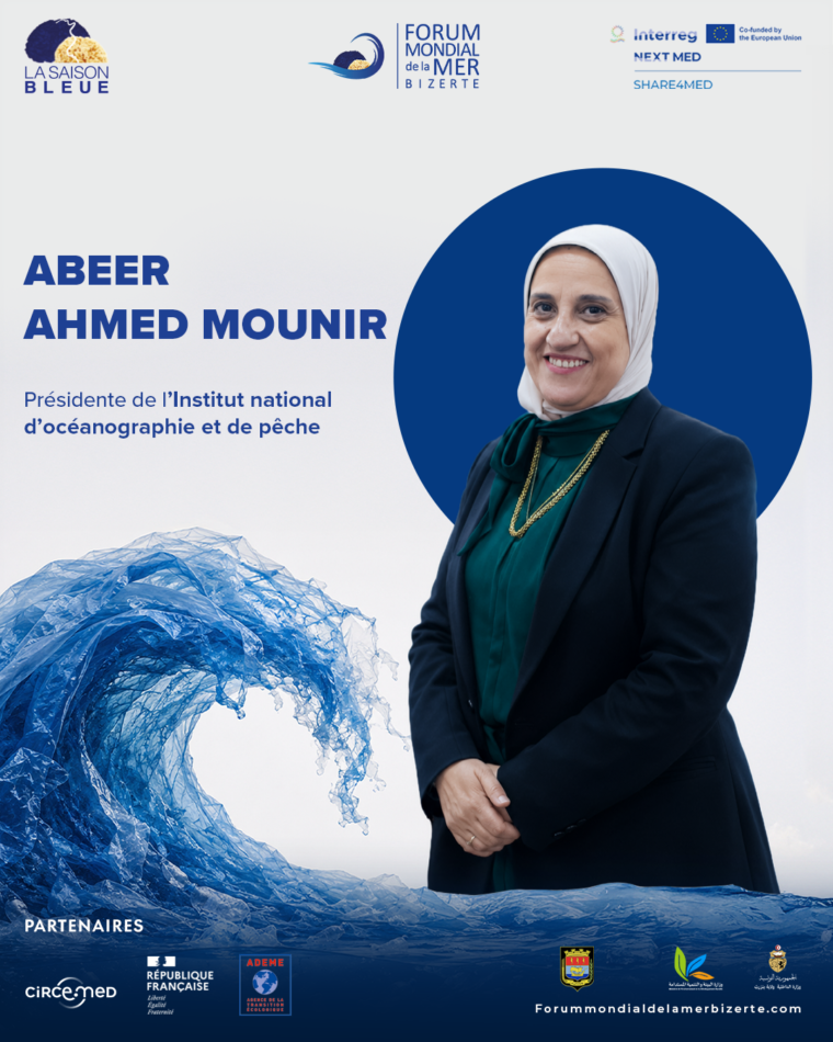 Abeer Ahmed Mounir