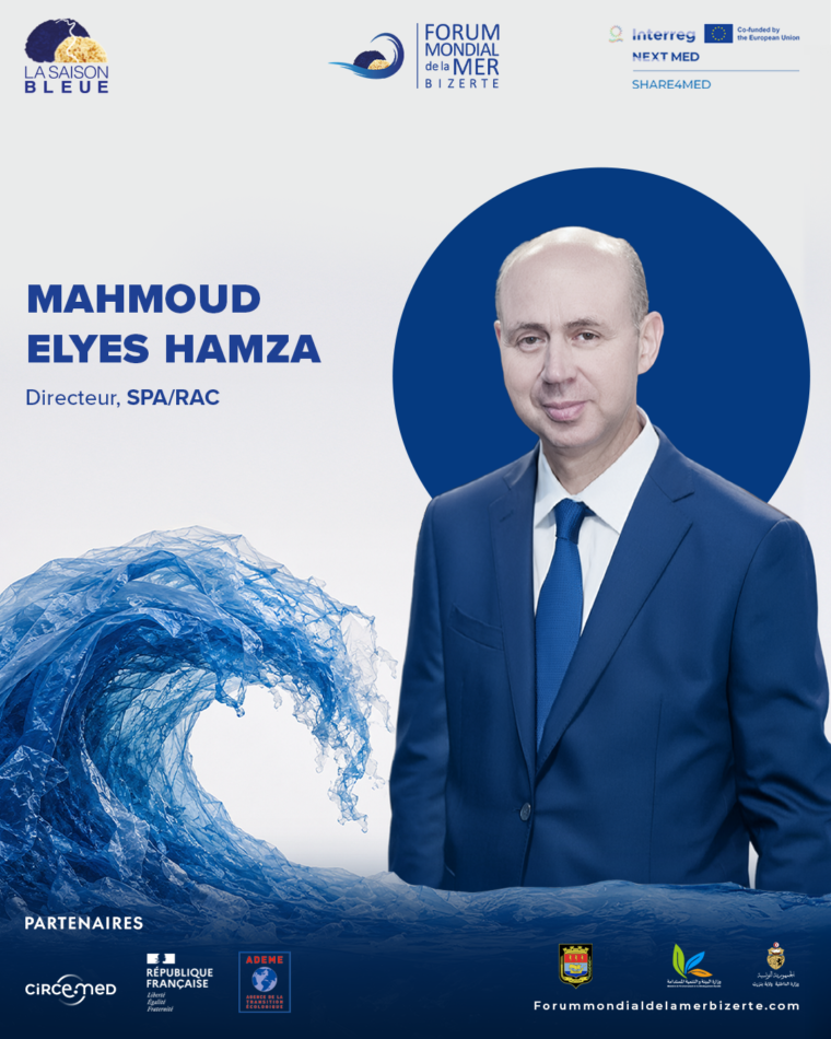Mahmoud Elyes Hamza