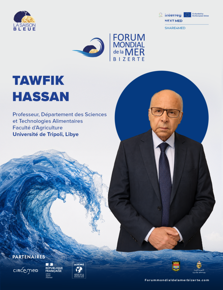 Tawfik  Hassan